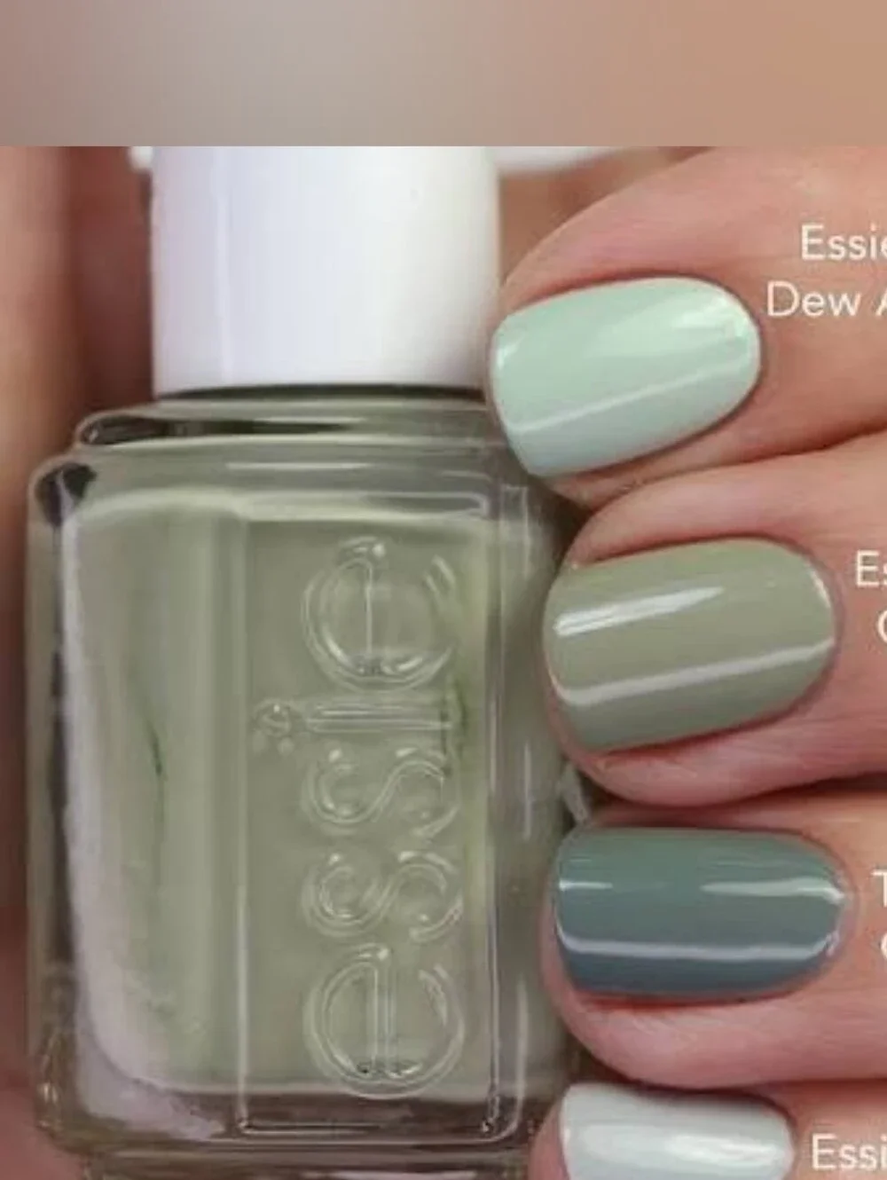 NWT ESSIE COLOR: NATURAL CONNECTION!